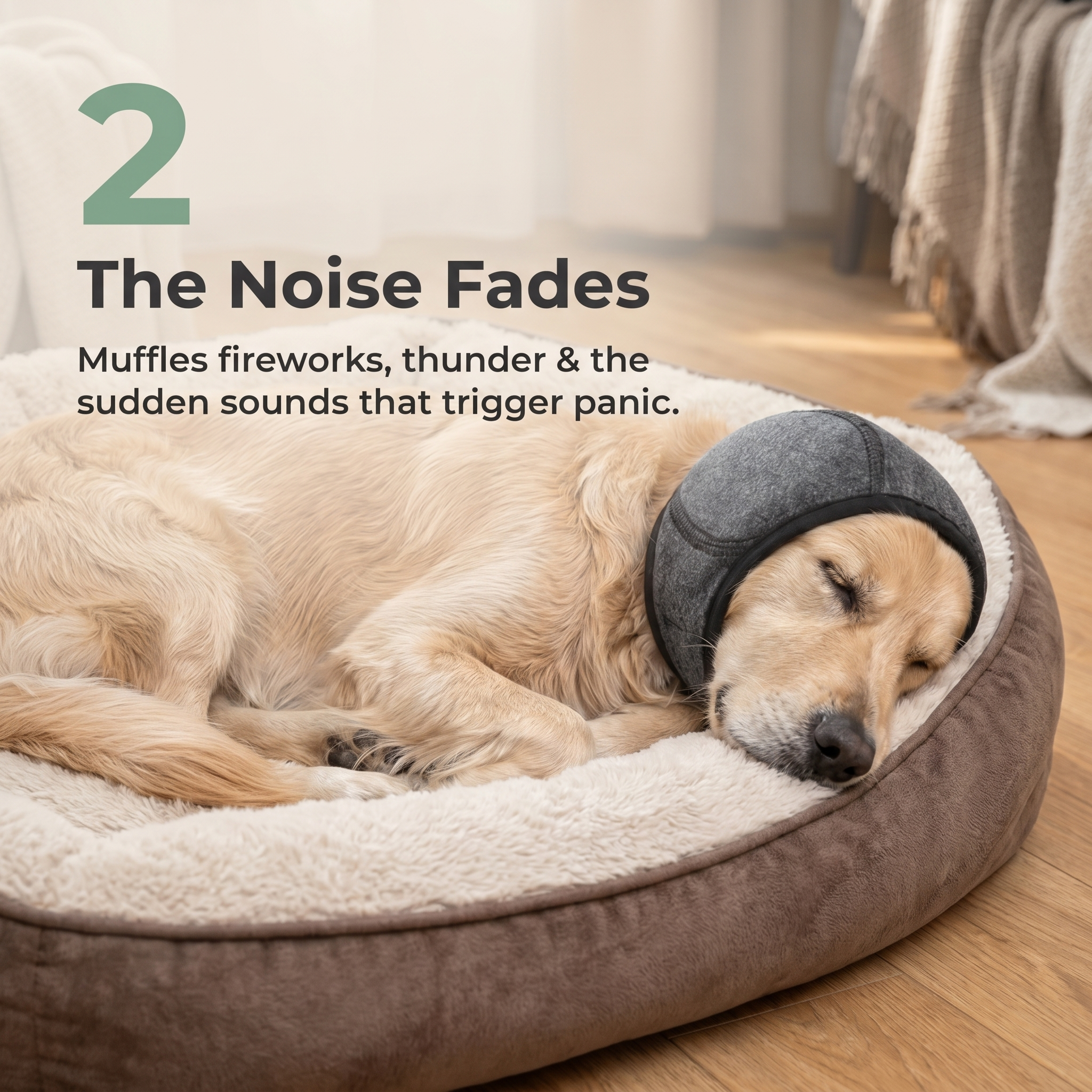 The Noise Fades