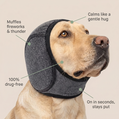 The CalmWrap™ — Doggy Ear Muffs