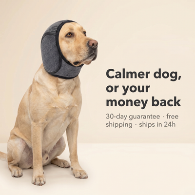 The CalmWrap™ — Doggy Ear Muffs